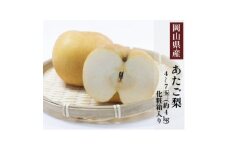 岡山県産 あたご梨 4～7玉(約4kg) 化粧箱入り【1499107】