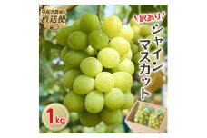 ＜2025年度発送分＞早起き農家の直送便　わけありシャインマスカット1kg【1435798】