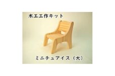 ミニチュアイス(大)　キット【1542597】