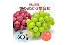 ＜2025年9月より順次発送＞岡山県産 旬のぶどう詰合せ 2種2パックセット【1575465】