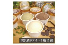 アイス職人の作るこだわり アイスクリーム 3種12個セット 90ml入り ピスタチオ チョコ バニラ【1577222】