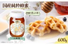 津山市産 山蜂蜜　600g【1605221】