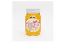 津山市産 れんげ蜂蜜　600g_はちみつ 国産 れんげ蜂蜜 ハチミツ ハニー 国産はちみつ れんげ 健康食品 食品 人気 ナチュラル 蜂蜜 岡山県 津山市 600g 贈答 ギフト プレゼント 常温 送料無料【1605191】