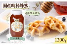 津山市産 山蜂蜜　1200g【1605230】