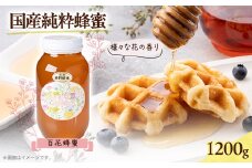 津山市産 百花蜂蜜　1200g【1605223】