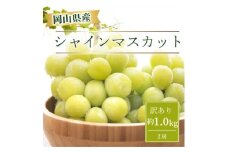 ＜2025年9月より発送＞訳あり家庭用　岡山県産 シャインマスカット  1.0kg以上(2房)【1612612】