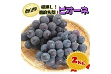 糖度抜群ぶどう＜秀品＞岡山産!種なしピオーネ2kg以上(3～4房)　ギフトにも【1612201】