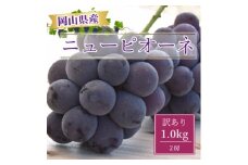 ＜2025年8月より発送＞訳あり家庭用　岡山県産ニューピオーネ1.0kg以上(2房)【1612618】