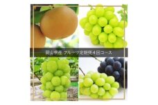 ＜発送月固定定期便＞岡山県産 フルーツ定期便全4回【4055838】