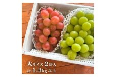 ＜きよとうファーム＞シャインマスカット&生産者いちおし葡萄 大サイズ2房入(岡山県産)【1553232】