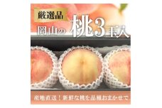 ＜きよとうファーム＞＜厳選品＞旬の桃(品種おまかせ)3玉入(岡山県産)【1571583】