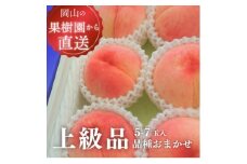 ＜きよとうファーム＞旬採り桃の上級品5-7玉入(岡山県産)【1571589】