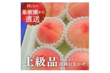 ＜きよとうファーム＞旬採り桃の上級品5-7玉入(岡山県産)【1571589】