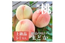＜きよとうファーム＞上品な肉質 まどか 白桃 上級品 5-7玉入(岡山県産)【1571597】