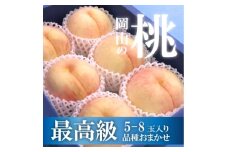 ＜きよとうファーム＞＜厳選品＞旬の桃(品種おまかせ) 5-8玉(岡山県産)【1571767】