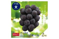 岡山　花笑み農園の『訳ありニューピオーネ』2kg　WP-2＜2025年9月～順次発送＞_ぶどう ニューピオーネ 葡萄 ブドウ 岡山県産 果物 くだもの フルーツ 訳あり 岡山県 津山市 産直 産地直送 送料無料【1593490】
