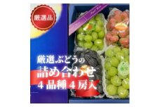 ＜きよとうファーム＞＜厳選品＞ぶどう4品種 4房入 リズムボックス(岡山県産)【1579858】