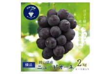岡山　花笑み農園の『ニューピオーネ』2kg(3～5房)優品　P-2優＜2025年9月～順次発送＞_ぶどう ニューピオーネ 葡萄 ブドウ 岡山県産 果物 くだもの フルーツ ギフト 岡山県 津山市 産地直送 送料無料【1593495】