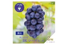 岡山　花笑み農園の『BKシードレス』2kg(3～5房)優品　B-2優＜2025年9月中旬～順次発送＞_ぶどう 葡萄 ブドウ BKシードレス 岡山県産 果物 くだもの フルーツ ギフト 岡山県 津山市 産地直送 送料無料【1593502】