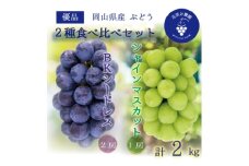 岡山　花笑み農園の『シャインマスカット&BKシードレス』2kg　BS-2優＜9月下旬～順次発送＞_ぶどう シャインマスカット 葡萄 岡山県産 果物 くだもの フルーツ ギフト 岡山県 津山市 産地直送 送料無料【1593507】