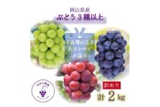 岡山　花笑み農園のブドウ『訳ありMIX3種以上』2kg　W3M-2＜2025年9月中旬～順次発送＞【1593516】