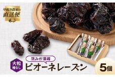 ピオーネレーズン 小袋5個セット【1596186】