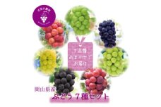 岡山　花笑み農園のブドウ『食べ比べ7種セット』　7M-5　＜9月下旬～順次発送＞_ぶどう 葡萄 ブドウ 岡山県産 果物 くだもの フルーツ ギフト 食べ比べ セット 7種 岡山県 津山市 産地直送 送料無料【1596445】
