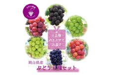 岡山　花笑み農園のブドウ『食べ比べ6種セット』　6M-5　＜9月下旬～順次発送＞_ぶどう 葡萄 ブドウ 岡山県産 果物 くだもの フルーツ ギフト 食べ比べ セット 6種 岡山県 津山市 産地直送 送料無料【1596449】