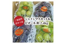 ＜きよとうファーム＞訳ありご家庭用ピオーネとシャインマスカット/計約2.4kg(岡山県産)【1602238】