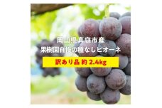 ＜きよとうファーム＞訳あり品 種なしで甘い葡萄の王様「ピオーネ」 /約2.4kg(岡山県産)【1602470】