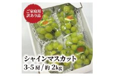 ＜きよとうファーム＞訳あり品 シャインマスカット/約2kg(岡山県産)【1602687】