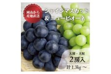 ＜きよとうファーム＞ピオーネ&シャインマスカット詰合せ 大2房/計1.3kg～(岡山県産)【1602811】