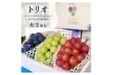 ＜きよとうファーム＞葡萄の宝石箱トリオ(シャインマスカット入り3品種詰合せ)(岡山県産)【1606494】