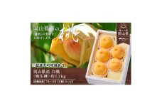 岡山県産　白桃(晩生種)　約1.3kg(5～6玉)【1614015】