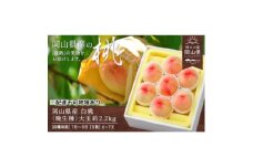 岡山県産　白桃(晩生種)約2.2kg(大玉6～7玉)【1614018】