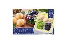 白桃(晩生種)3玉・シャインマスカット1房・ニューピオーネ1房詰合せ　合計約1.8kg【1614051】