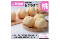 ＜2026年発送＞ご家庭用　おかやまの桃　約1.8kg(7～9玉)【1614292】