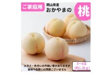 ＜2026年発送＞ご家庭用　おかやまの桃　約1.3kg(5～6玉)【1614291】