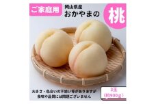 ＜2026年発送＞ご家庭用　おかやまの桃　大玉3玉　約900g【1614288】
