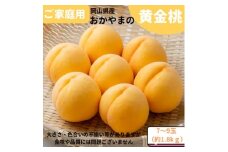ご家庭用　おかやまの黄金桃　約1.8kg(7～9玉)【1614295】