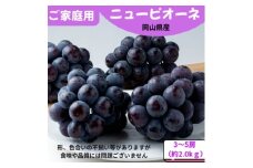 ご家庭用 ニューピオーネ 約2.0kg(3～5房)【1614296】