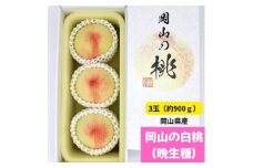 岡山の白桃(晩生種)　大玉3玉(約900g)【1614303】