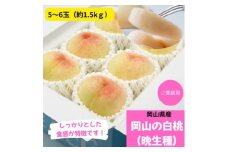 ご家庭用　白桃(晩生種)　 約1.5kg(5～6玉)【1614305】