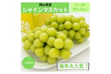 ご家庭用　岡山県産シャインマスカット(クール便)　約1.2kg(2～3房)【1614316】