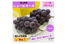 ご家庭用　岡山県産ニューピオーネ(クール便)　約1.2kg(2～3房)【1614322】