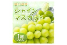 岡山県産シャインマスカット　1房・約500g(クール便)【1614353】