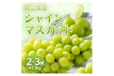 岡山県産シャインマスカット　約1.3kg・2～3房(クール便)【1614355】