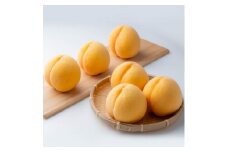 ご家庭用　岡山県産黄金桃　約1.5kg(5～6玉)【1614333】
