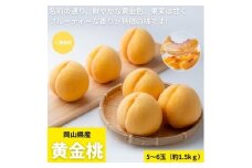 ＜2026年発送＞ご家庭用　岡山県産黄金桃　約1.5kg(5～6玉)【1614333】
