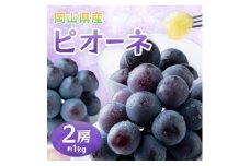 岡山県産ピオーネ　約1kg(約500g×2房)【1614365】